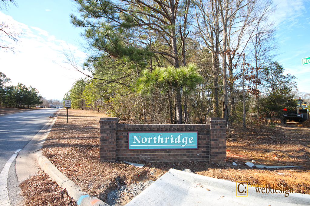 Northridge Subdivision in Centerville, GA